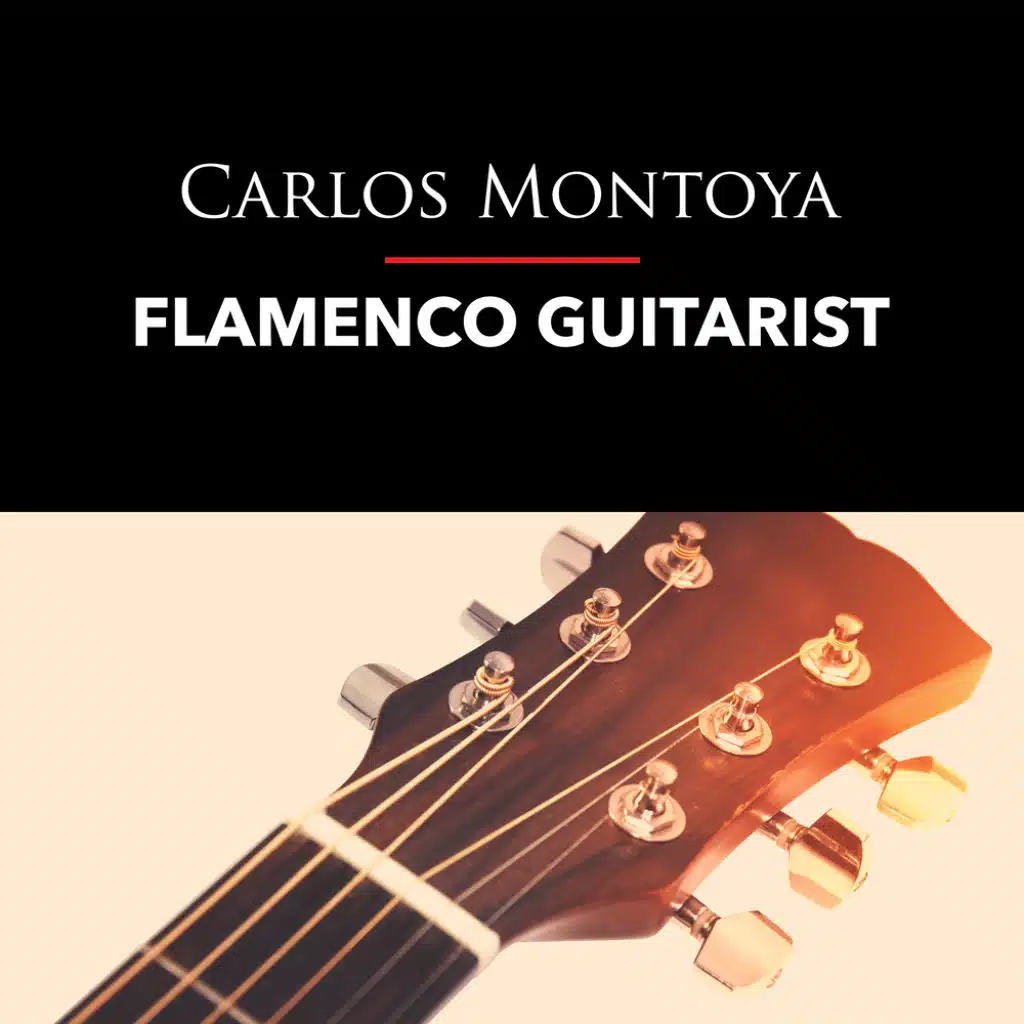 Flamenco Guitarist