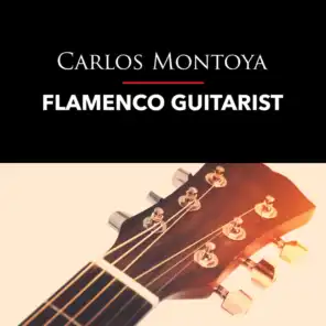 Flamenco Guitarist