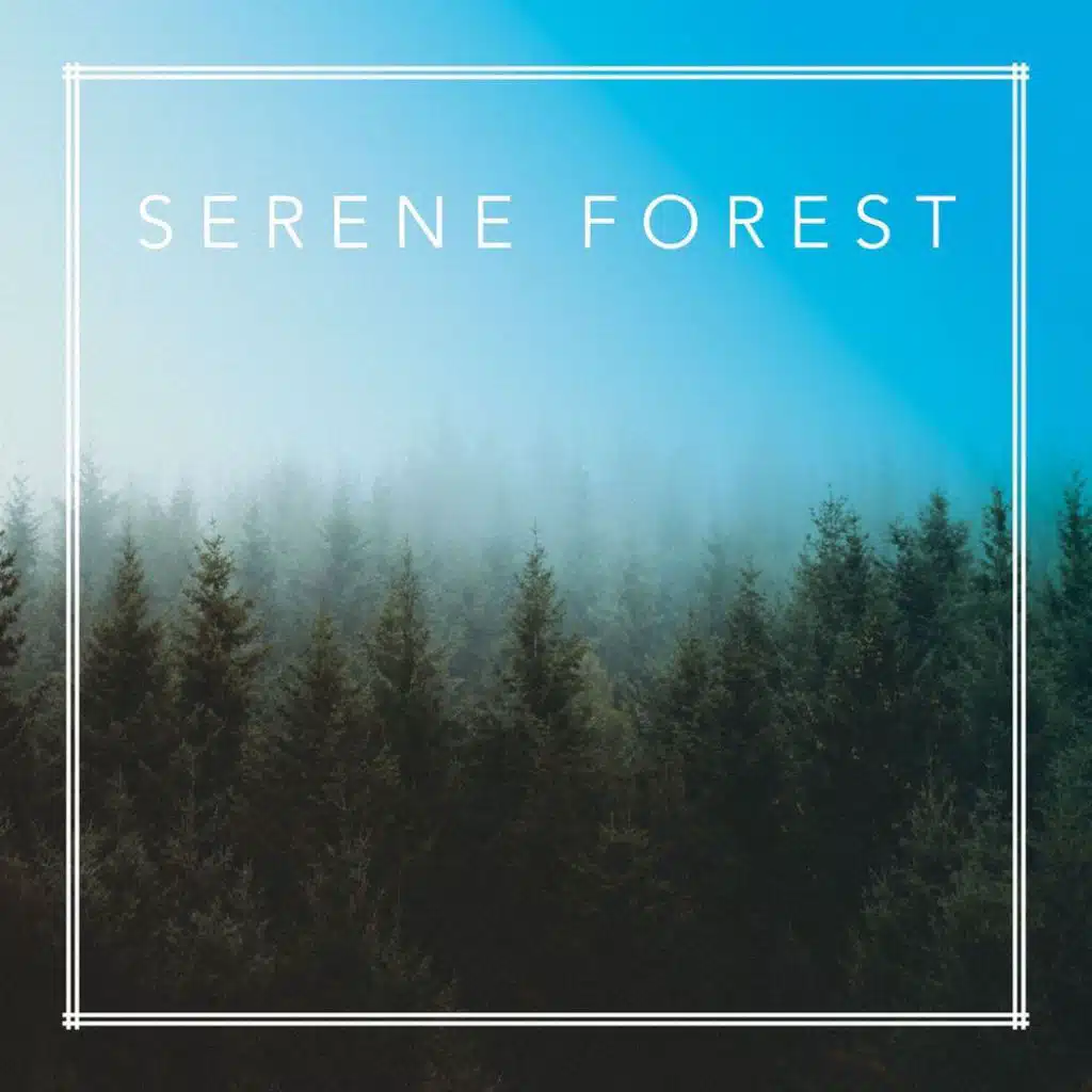 Serene Forest