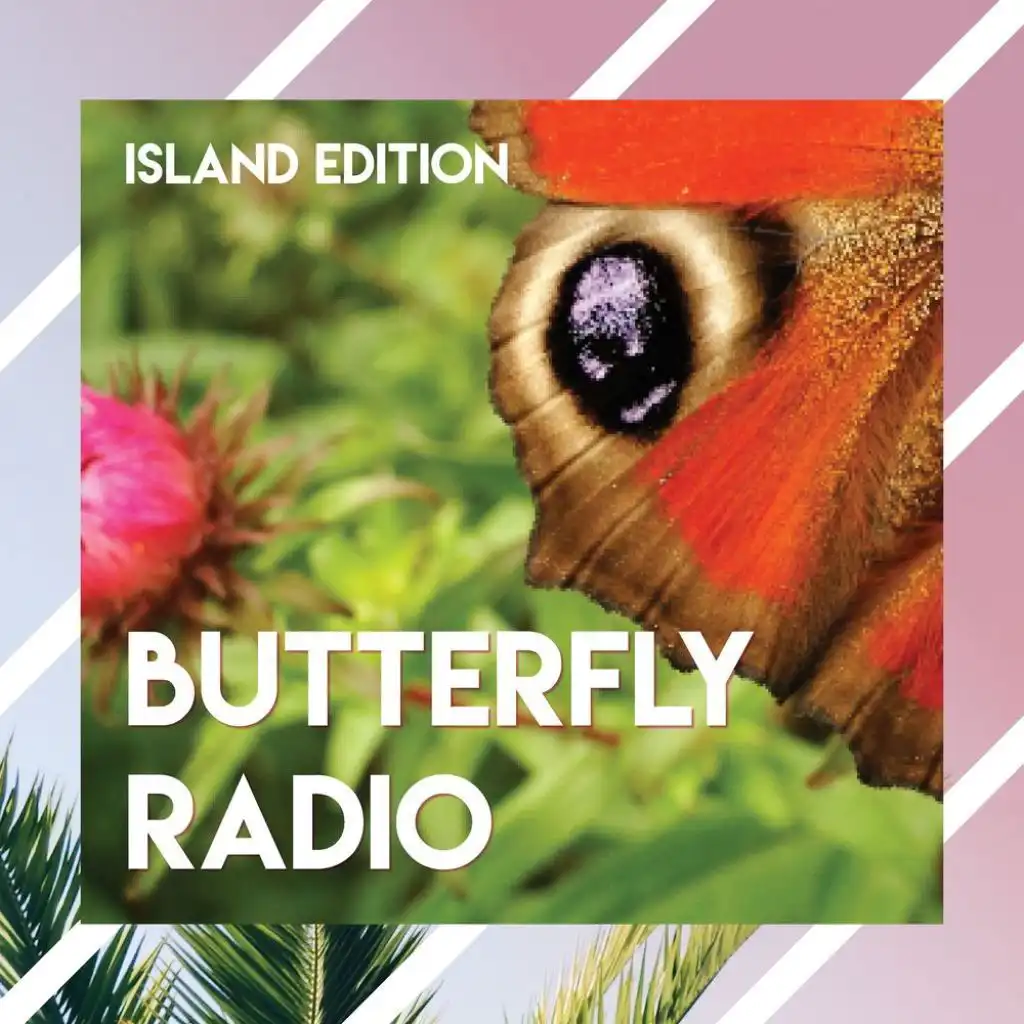 Butterfly Radio - Island Edition