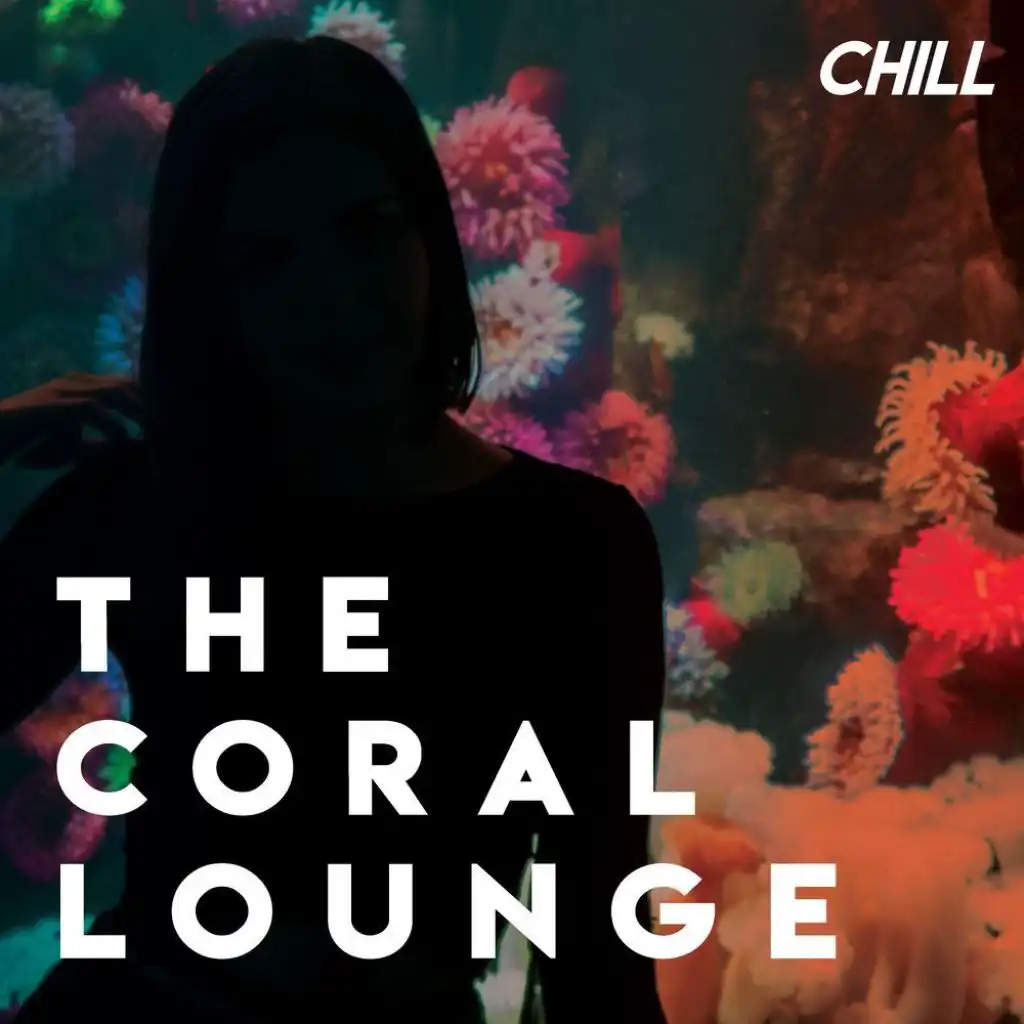 The Coral Lounge // Chill