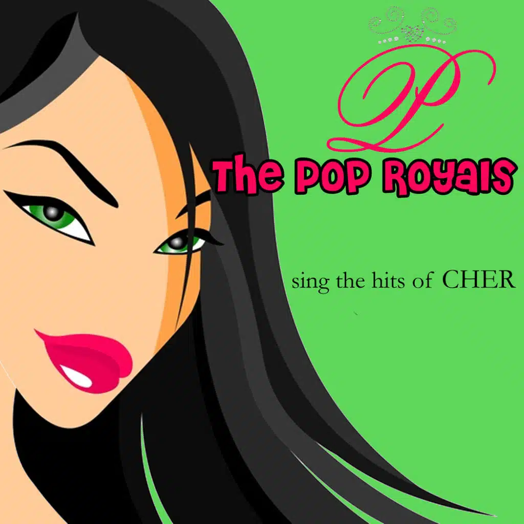 Sing The Hits Of Cher