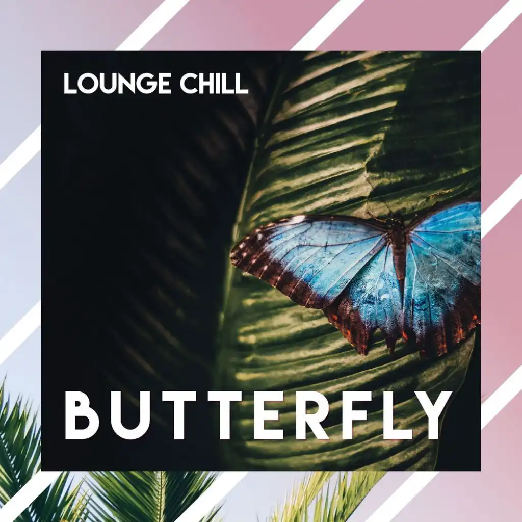 Butterfly // Lounge Chill