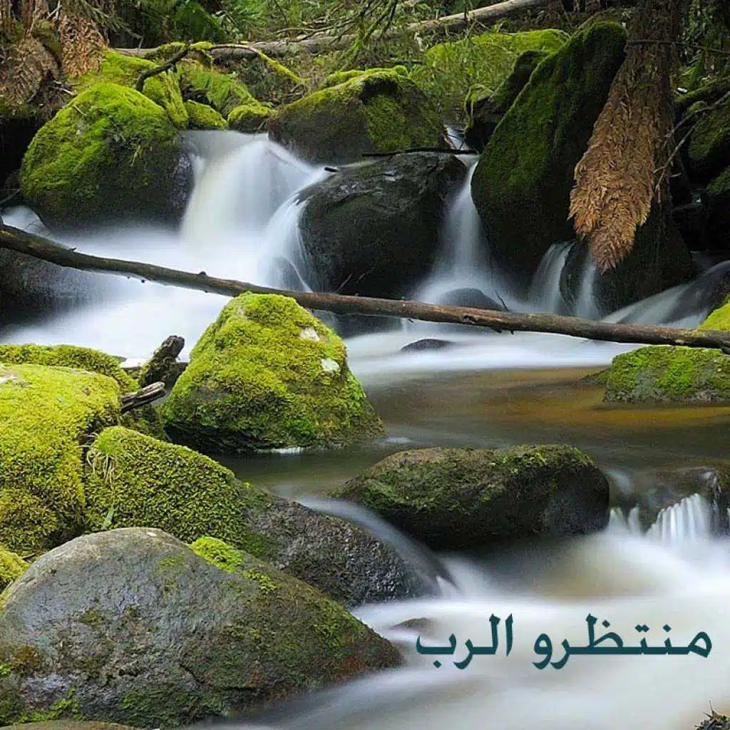 أنا هفرح بيك