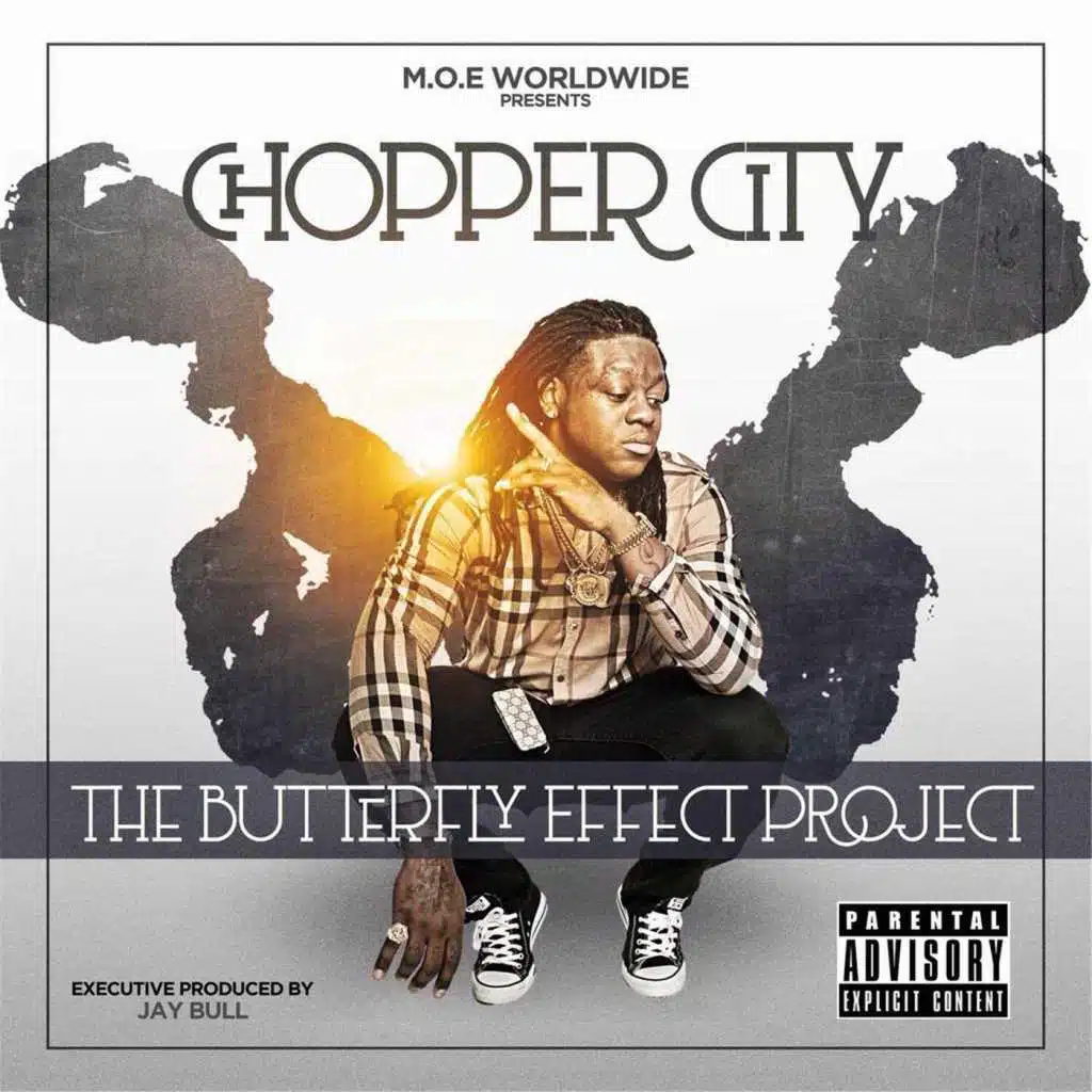 The Butterfly Effect Project
