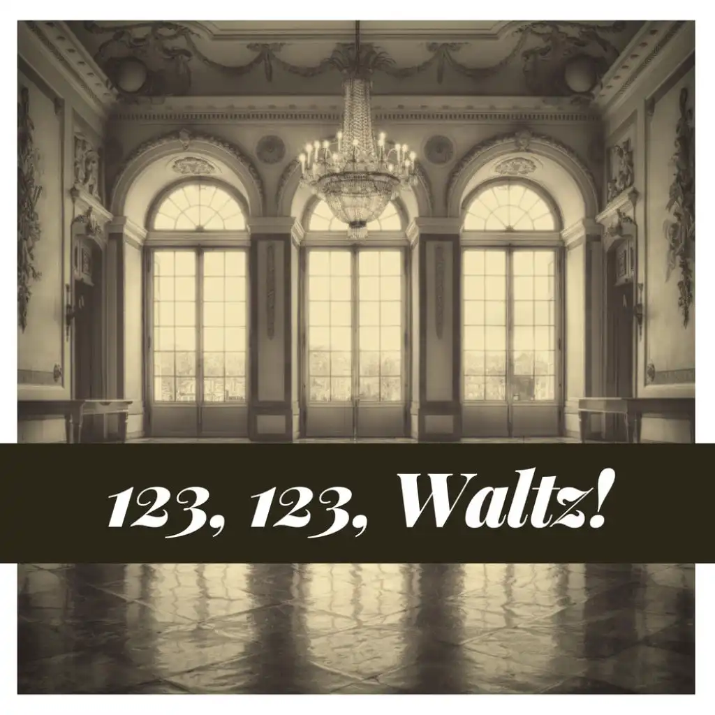 Delirien Waltzes, Op. 211