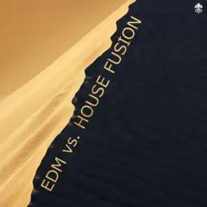 EDM vs. House Fusion (feat. Simon Erics, The Royalties STHLM, 3PM & Lil'Eddie)
