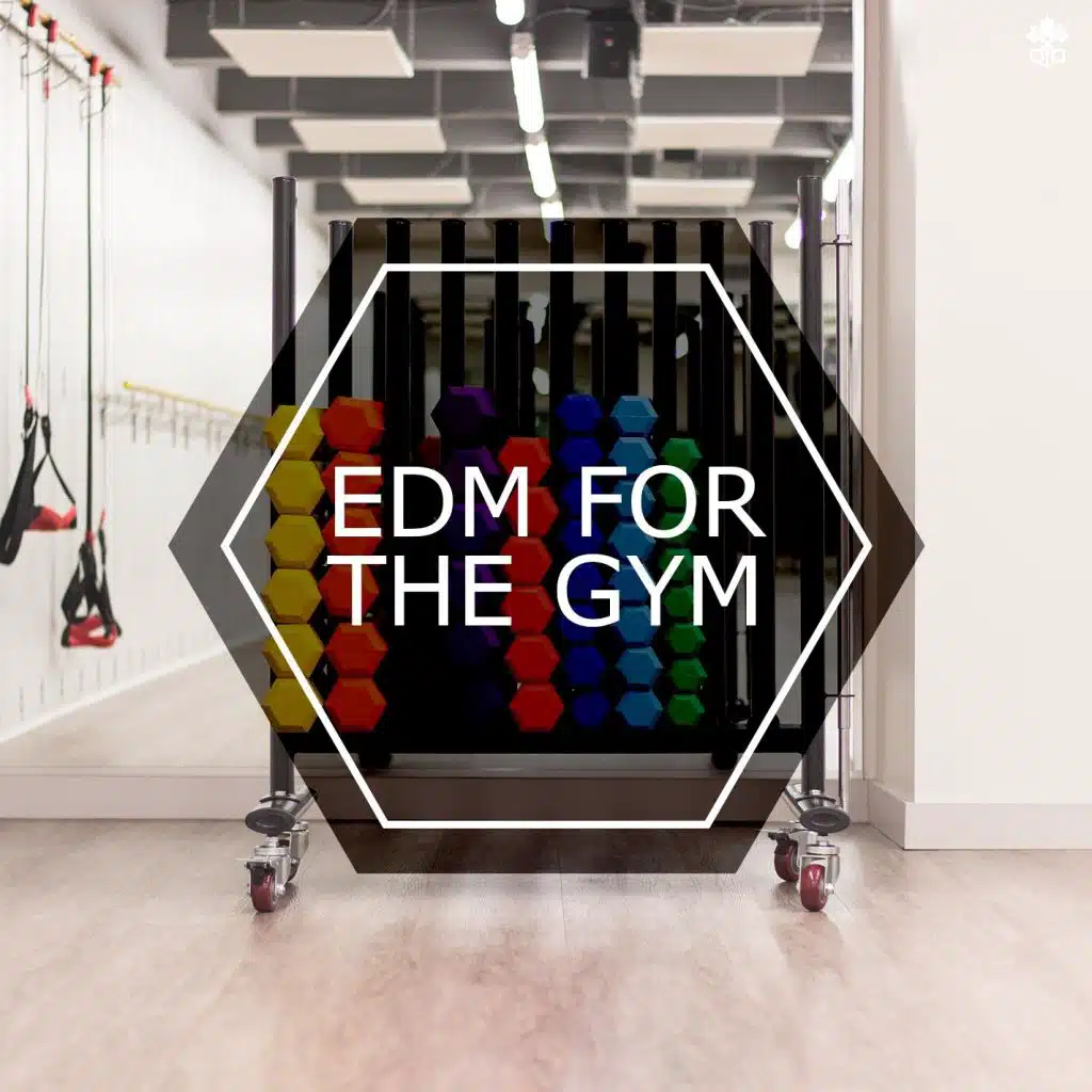 EDM For The Gym (feat. Velerosse)