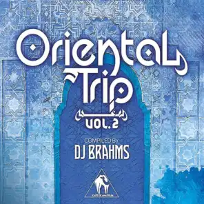 Oriental Trip, Vol. 2 (Compiled by DJ Brahms)