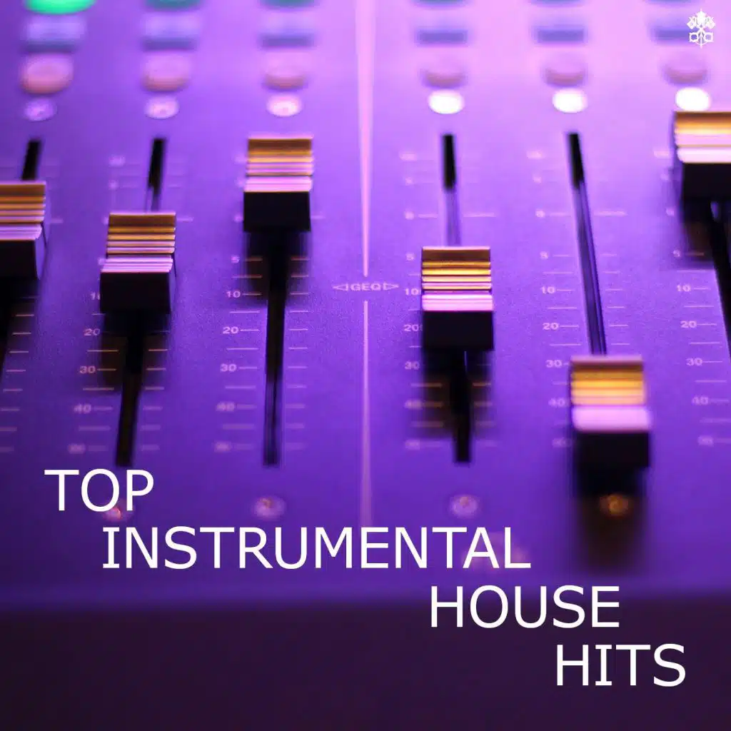 Top Instrumental House Hits