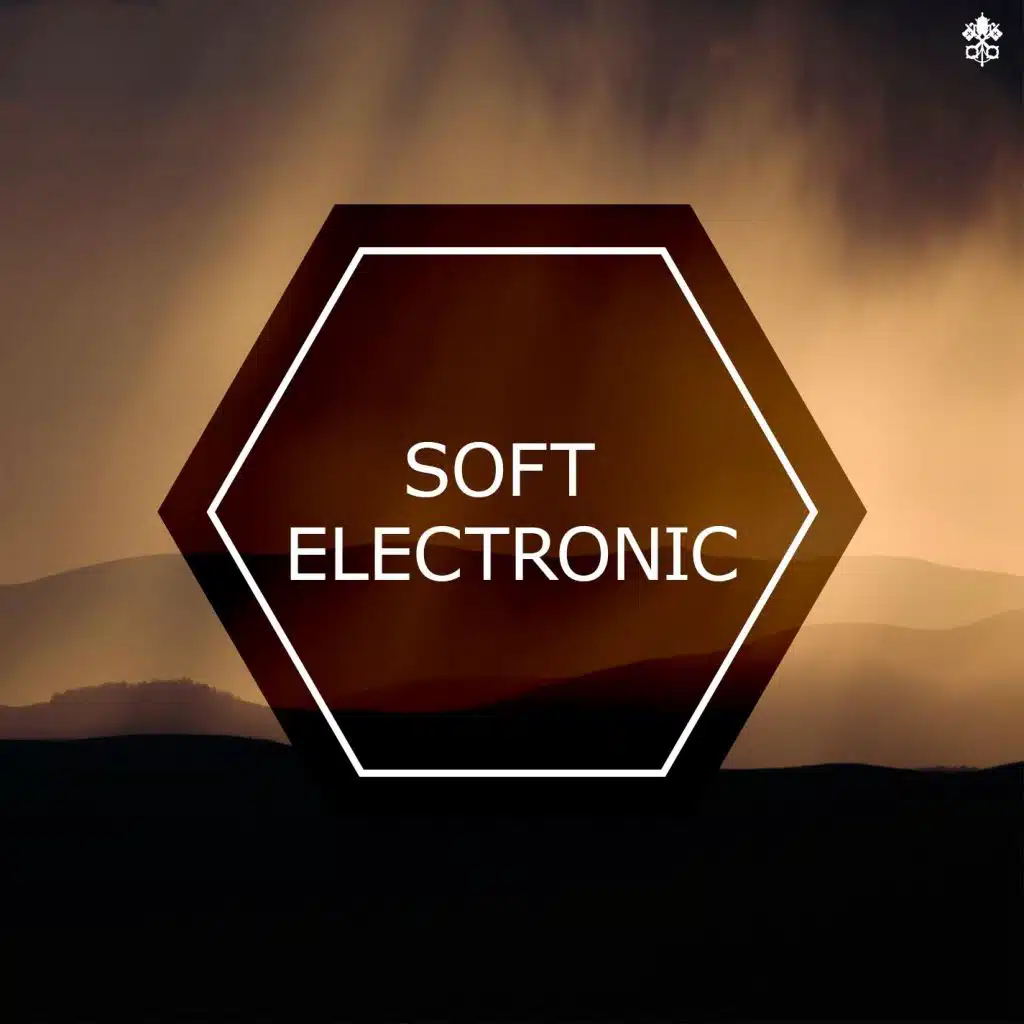 Soft Electronic (feat. Metaphorical Cloud)