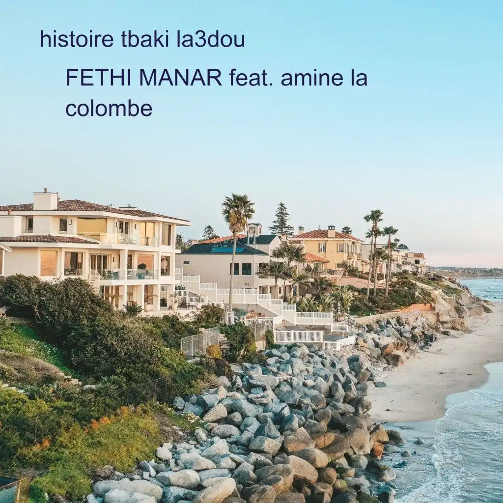 Histoire Tbaki La3Dou (feat. Amine La Colombe)