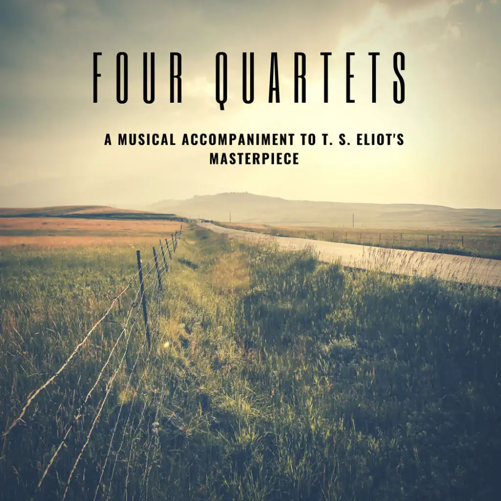 The Travnicek Quartet