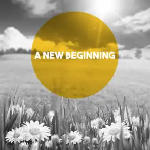 A New Beginning