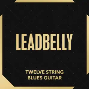 Twelve-String Blues Guitar