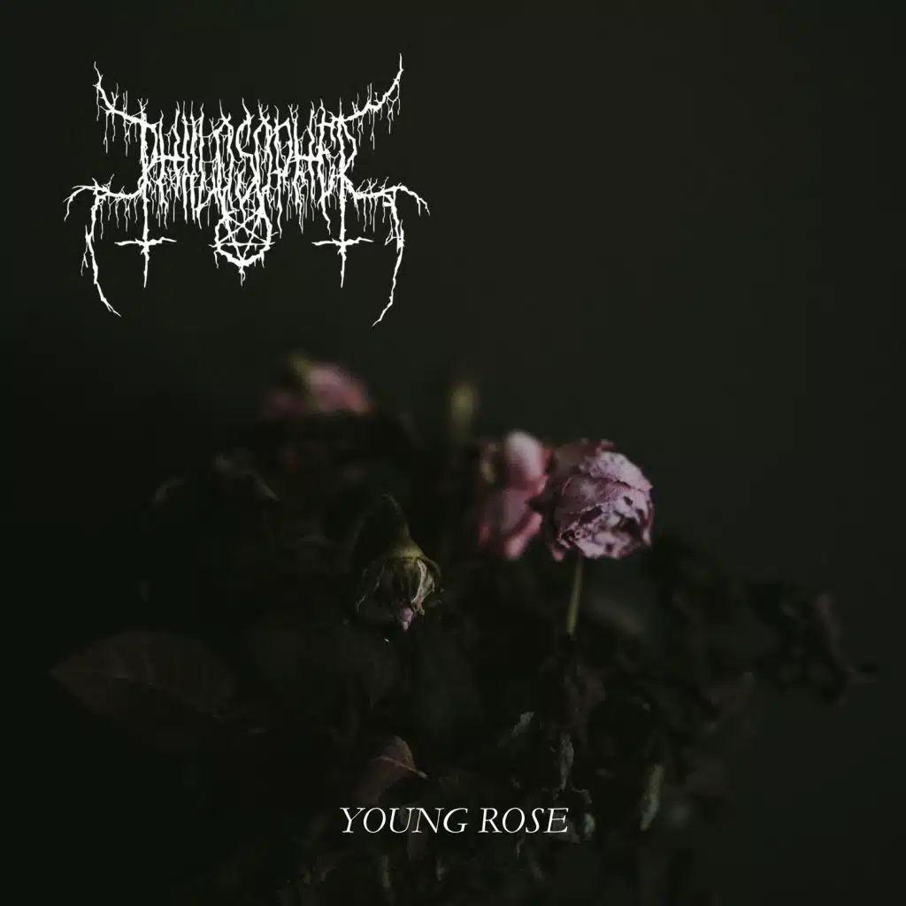 Young Rose