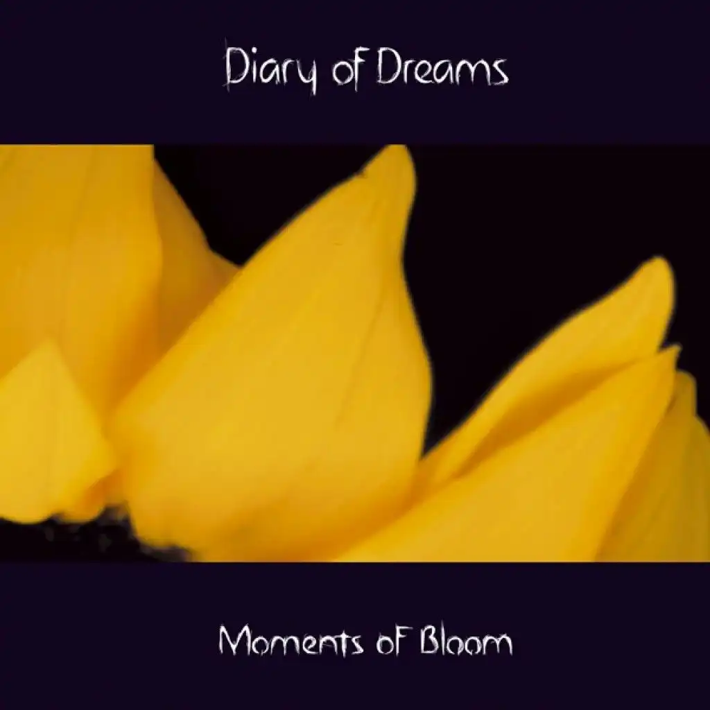 Moments of Bloom