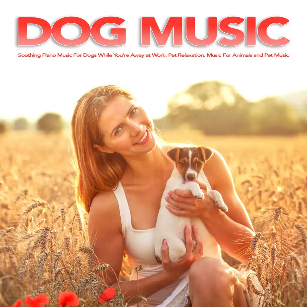 Dog Music: Soothing Piano Music For Dogs While You're Away at Work, Pet Relaxation, Music For Animals and Pet Music