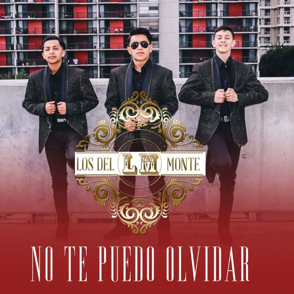 No Te Puedo Olvidar