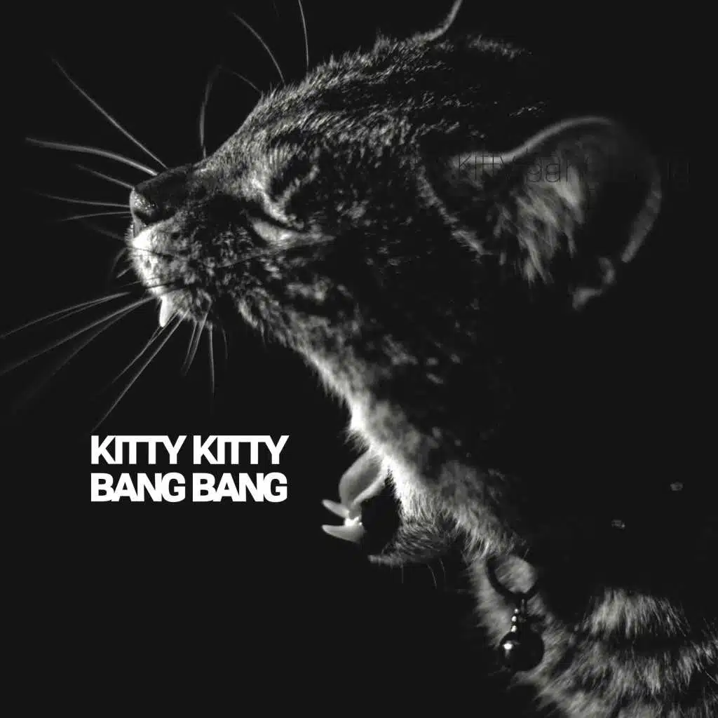 Kitty Kitty Bang Bang