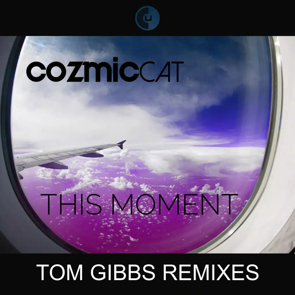 This Moment (feat. Tom Gibbs)