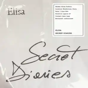 Secret Diaries