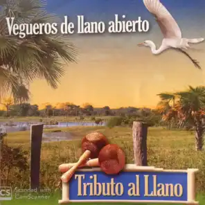 Vegueros Del Llano Abierto