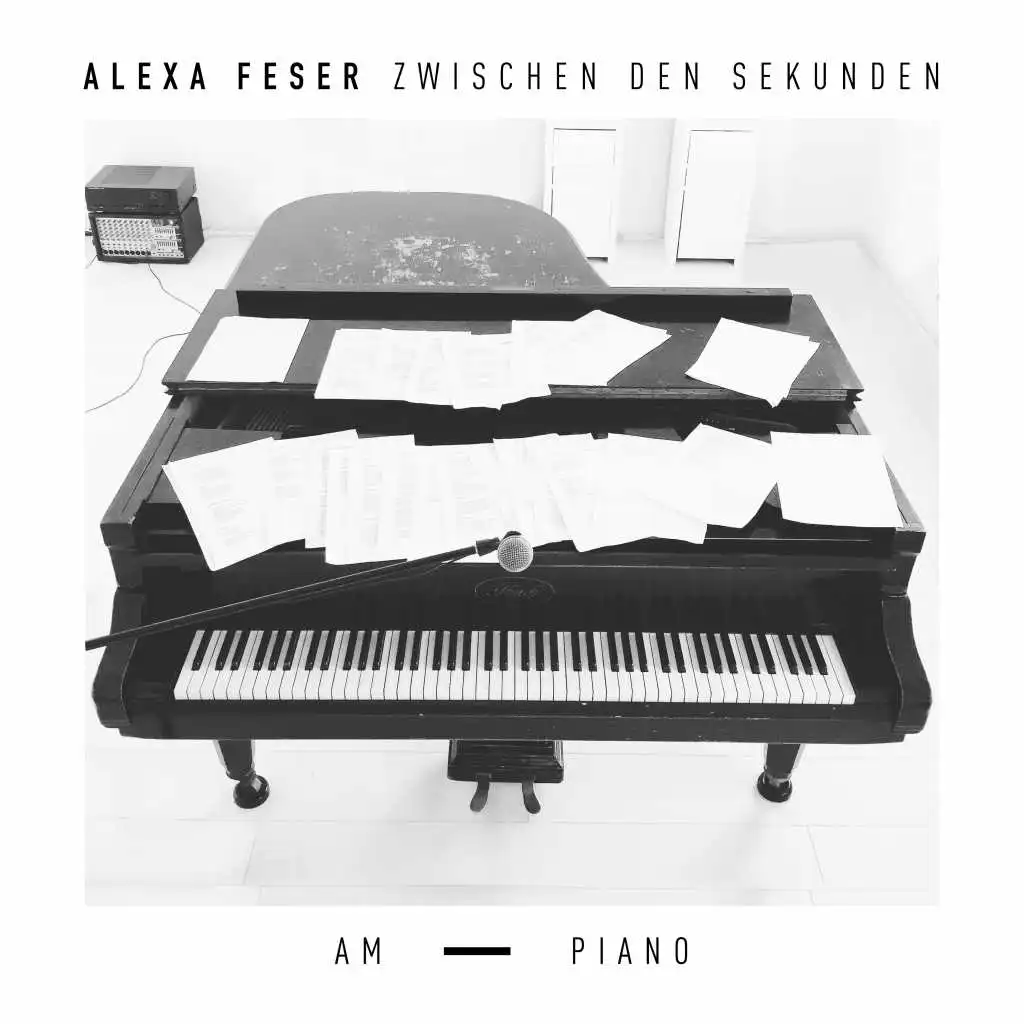 Zwischen den Sekunden - Am Piano