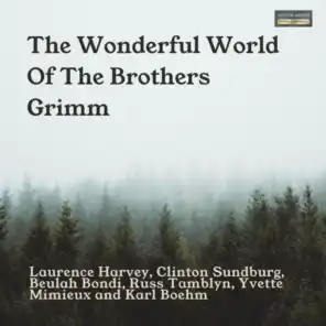The Wonderful World Of The Brothers Grimm (Original Motion Picture Soundtrack)