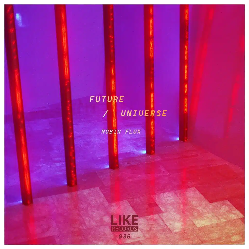 Future / Universe