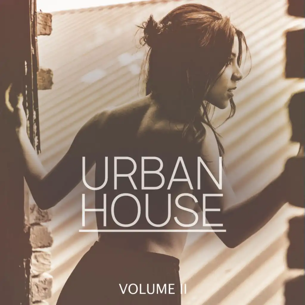 Urban House, Vol. 2