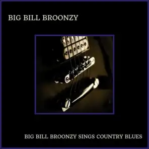 Big Bill Broonzy Sings Country Blues