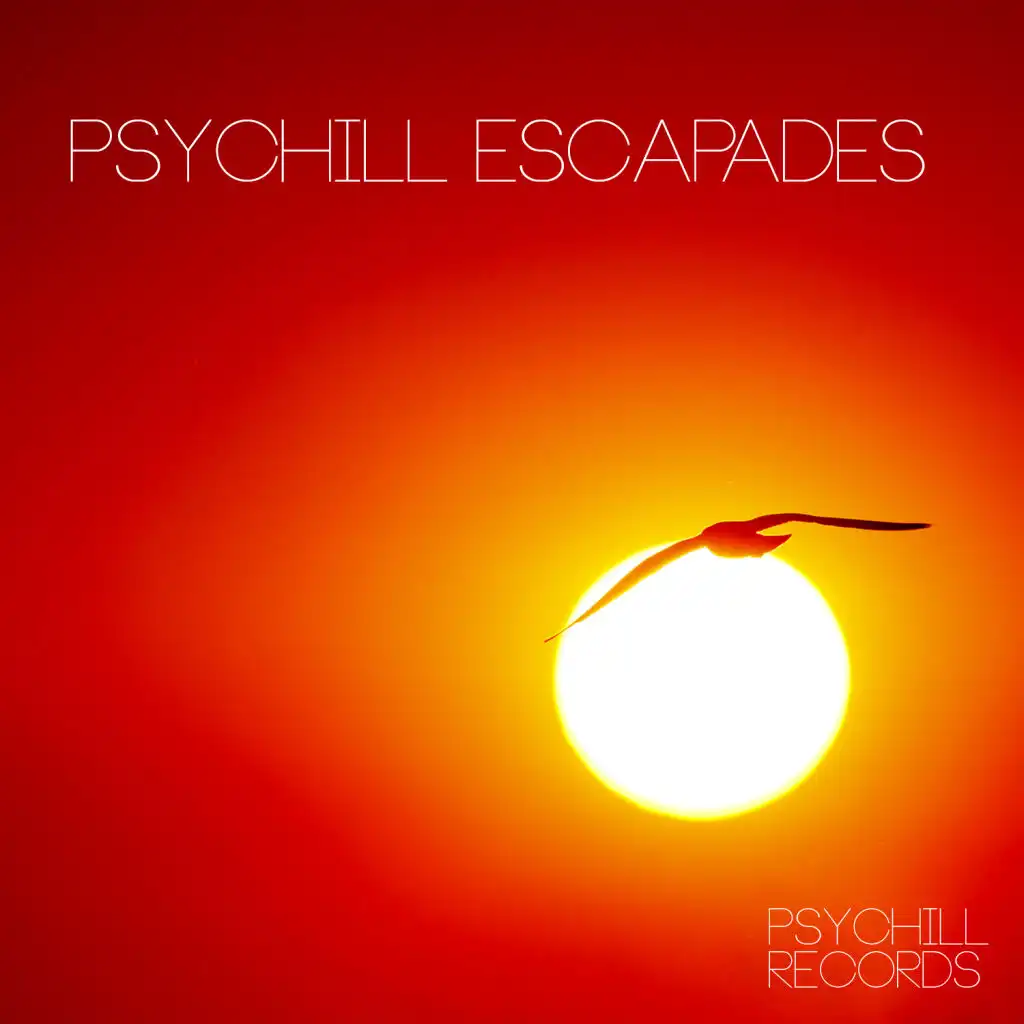 Psychill Escapades