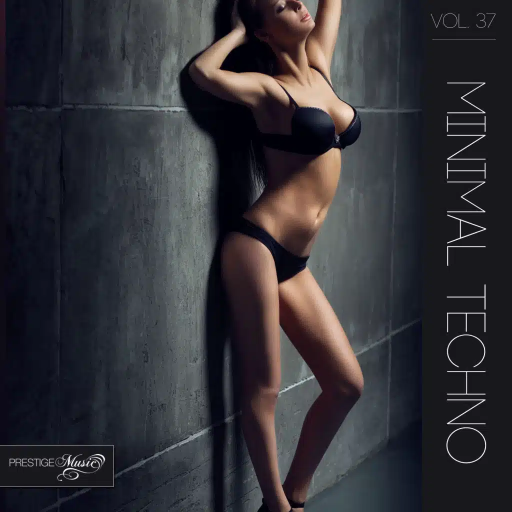 Minimal Techno, Vol.37