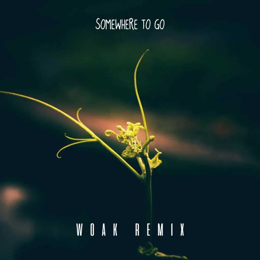 Somewhere To Go (Woak Remix)