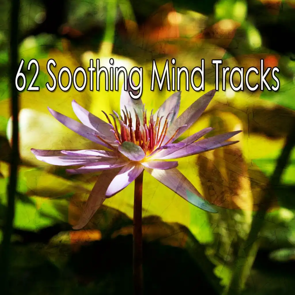 62 Soothing Mind Tracks