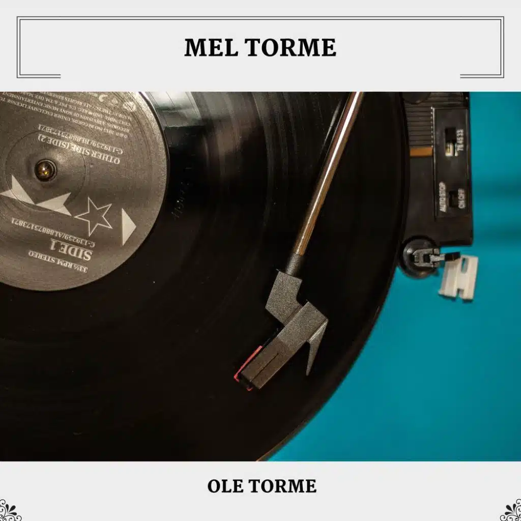 Ole Torme