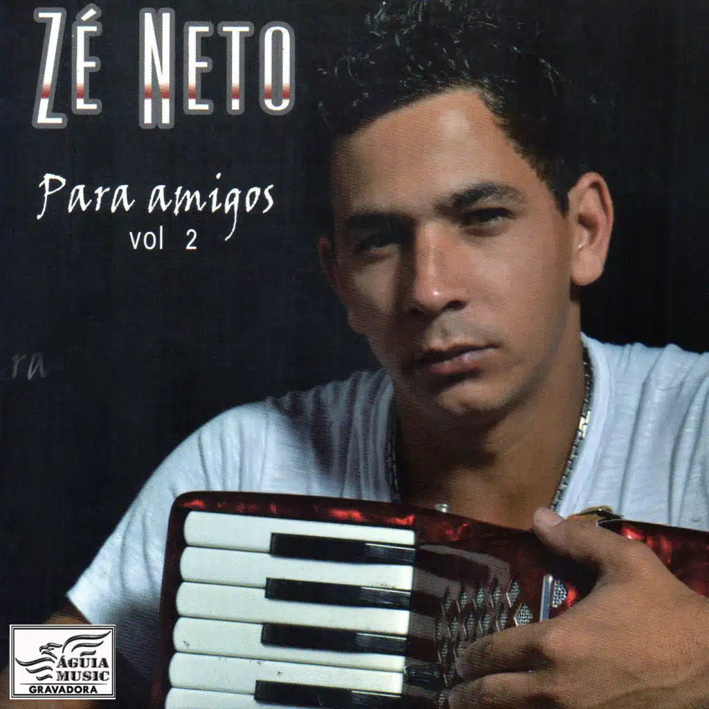 Para os Amigos, Vol. 2