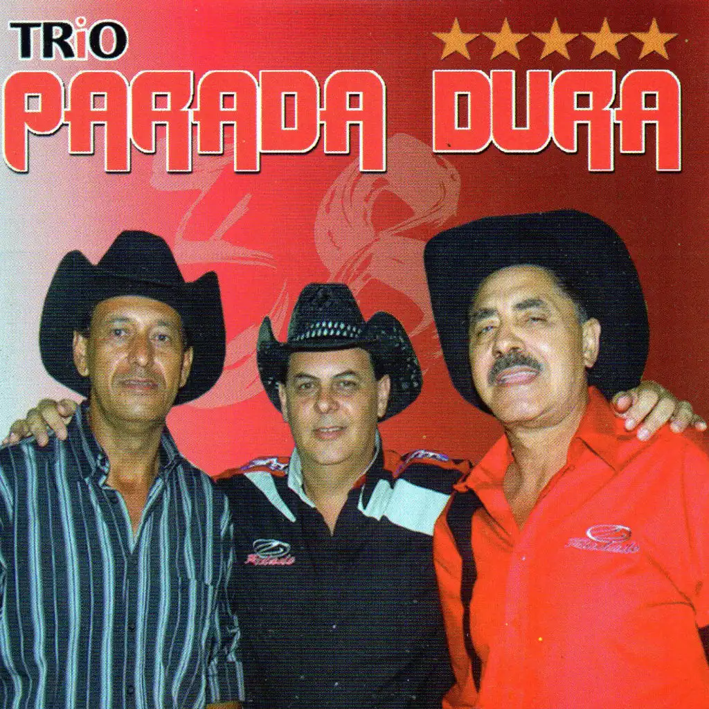 5 Estrelas