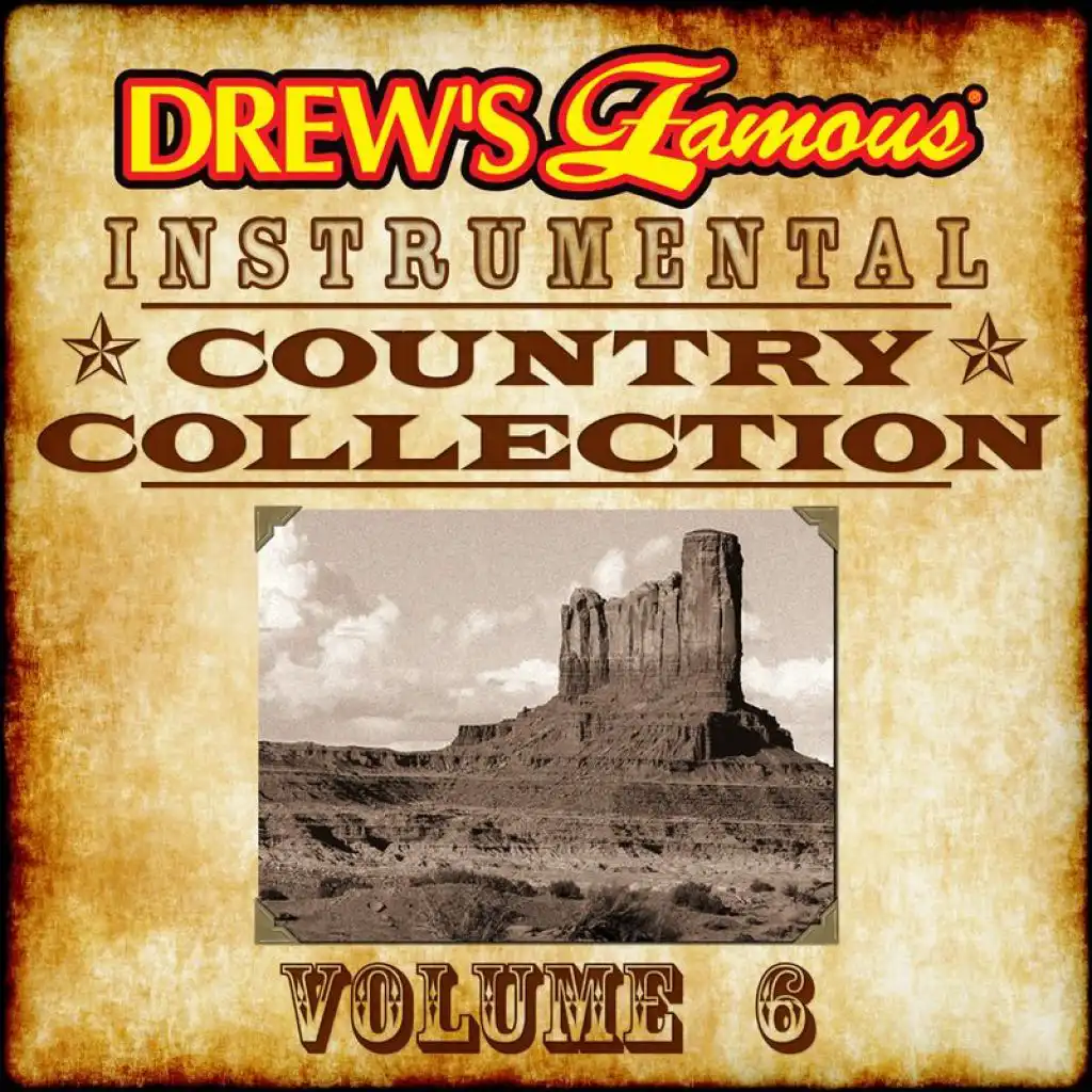 Drew's Famous Instrumental Country Collection, Vol. 6