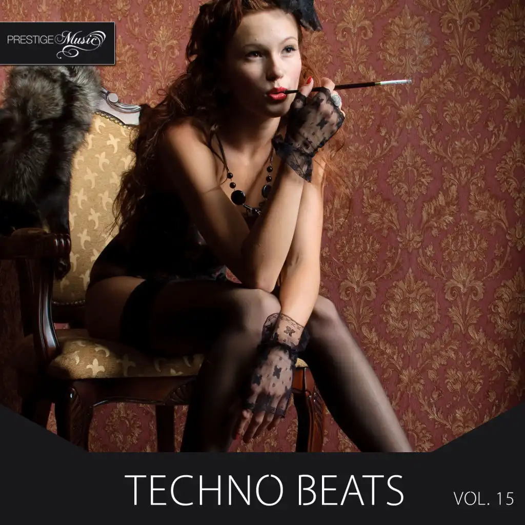 Techno Beats, Vol.15