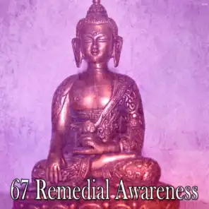 67 Remedial Awareness