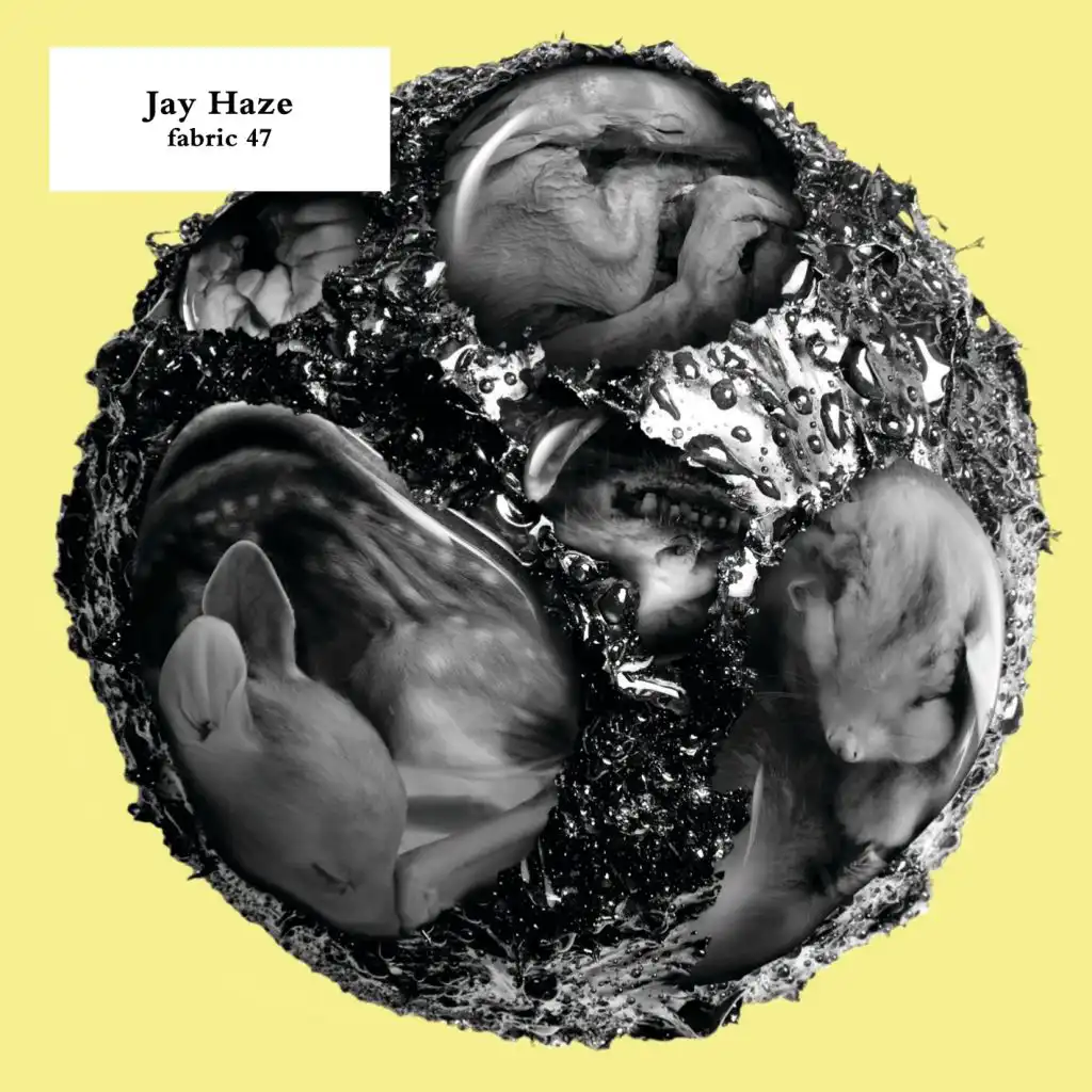 Freedom (Jay Haze Main Mix) (Mixed) [feat. Yah Meek]
