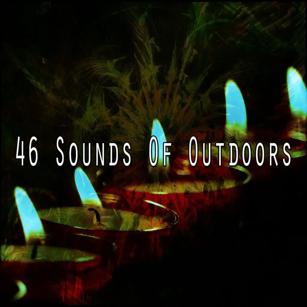 46 Sounds of Outdoors