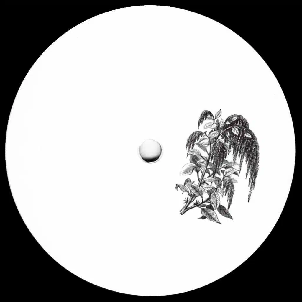 Broken Dreams EP