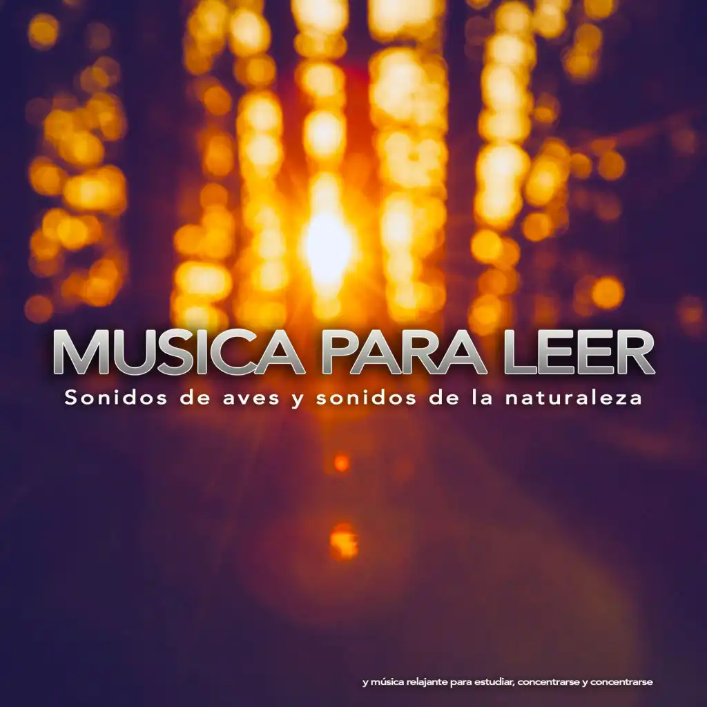 Musica para leer