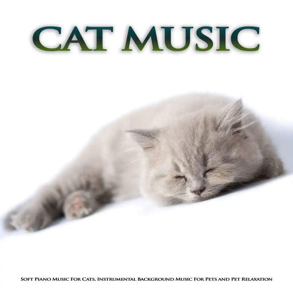 Background Cat Music