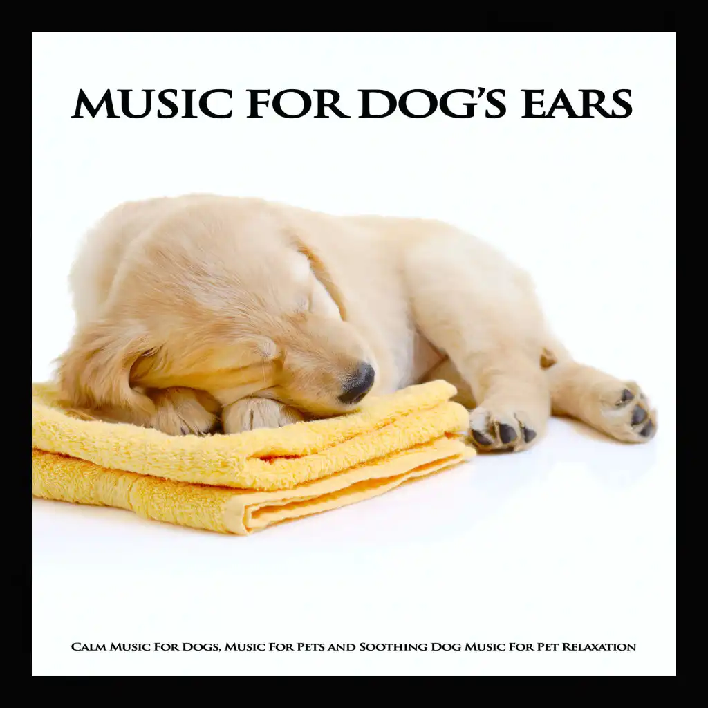 Music For Dog's Ears: Calm Music For Dogs, Music For Pets and Soothing Dog Music For Pet Relaxation