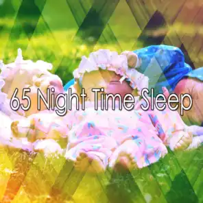 65 Night Time Sleep