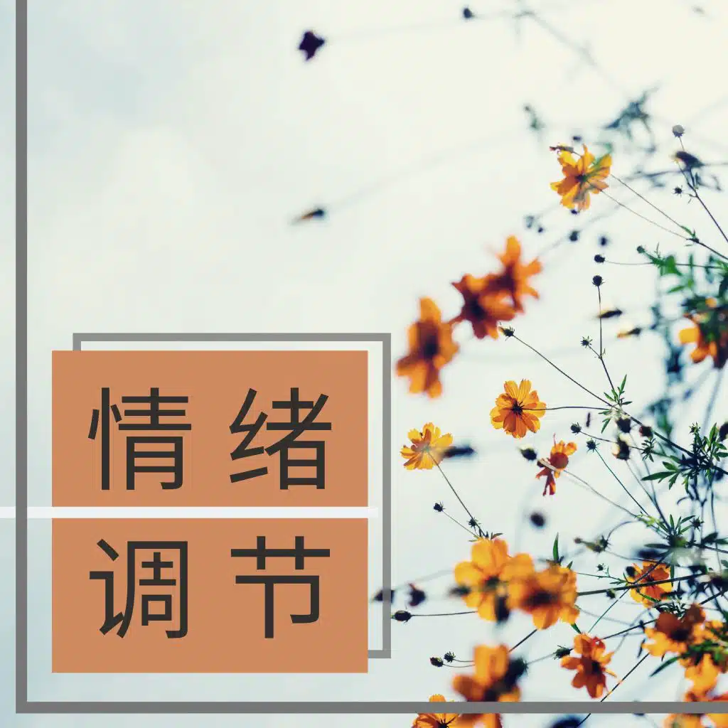 情绪调节 - 最好听的音乐为了让你心情放松